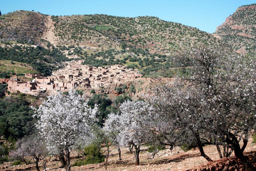 Un paisaje natural cerca del riad