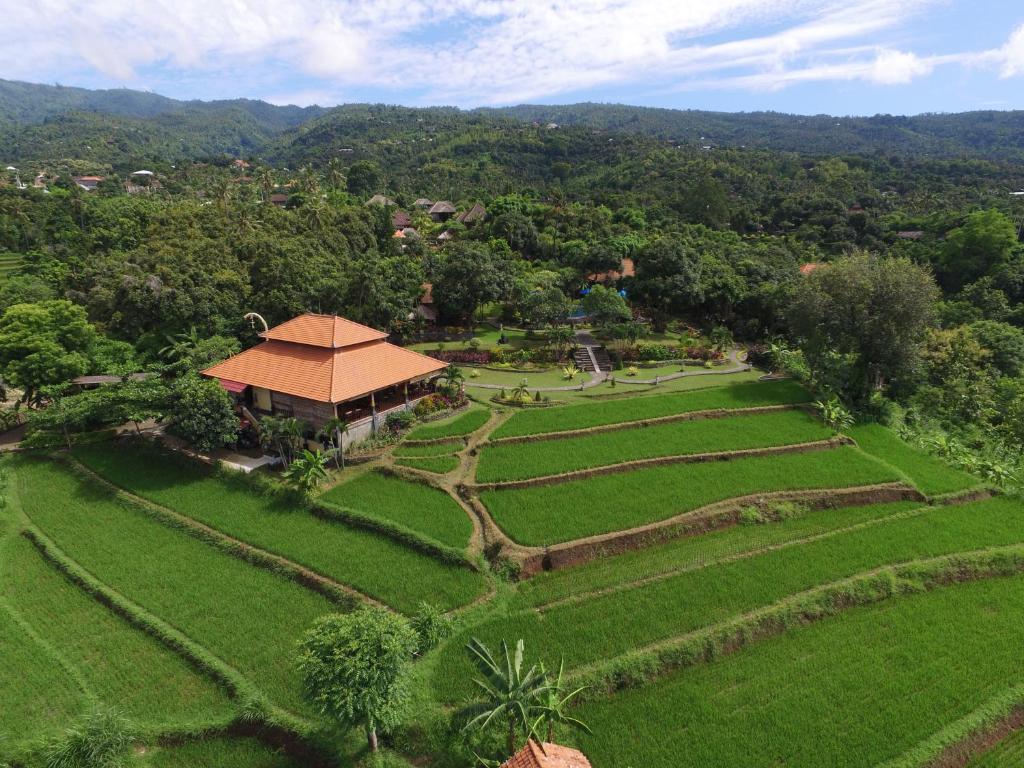 an aerial view of a rice field and a building at Puri Mangga Sea View Resort and Spa in Lovina