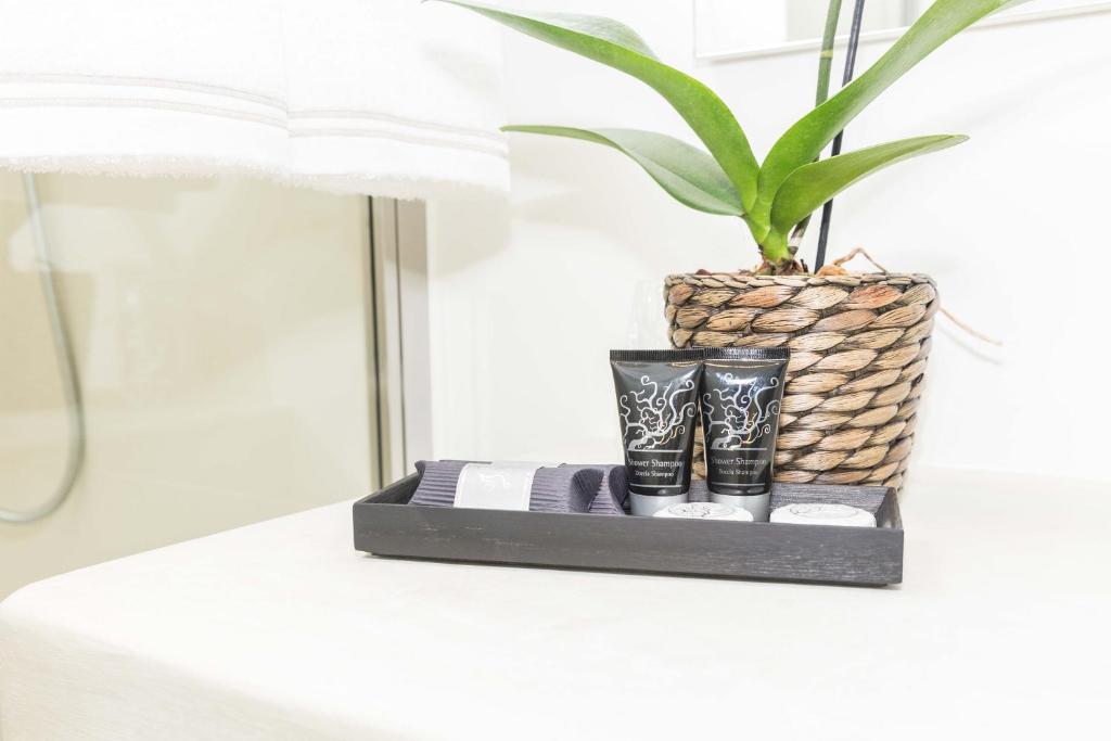 200 ROOMS & TERRACE - 14