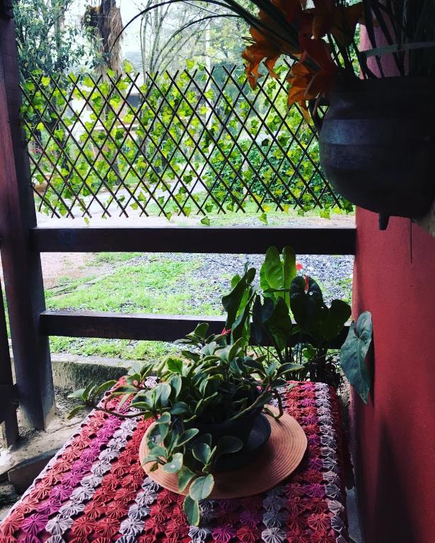  Suíte Cravo & Canela