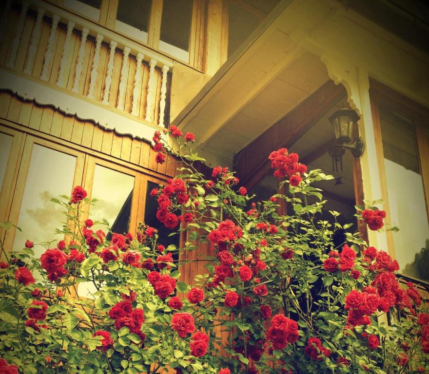 Casa Le Rose