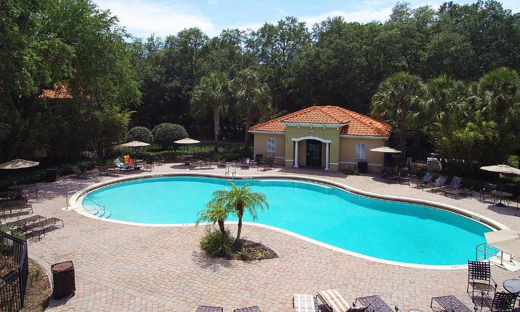 una piscina con una palma di fronte a una casa di Four Bedrooms TownHome 5122 a Kissimmee