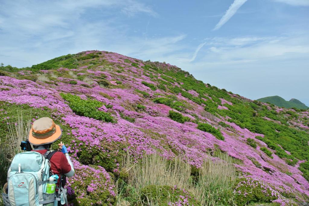 a person with a backpack walking on a hill with purple flowers at Polan no Fue in Minamioguni