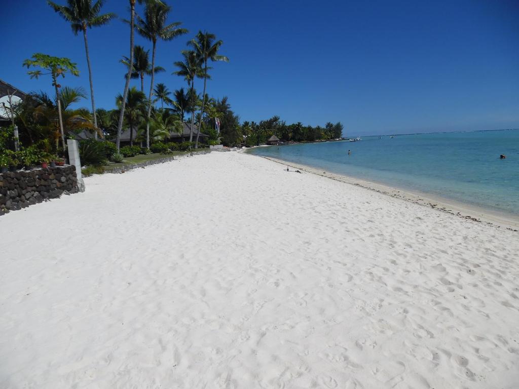 a white beach with palm trees and the ocean at Village Temanuata in Bora Bora