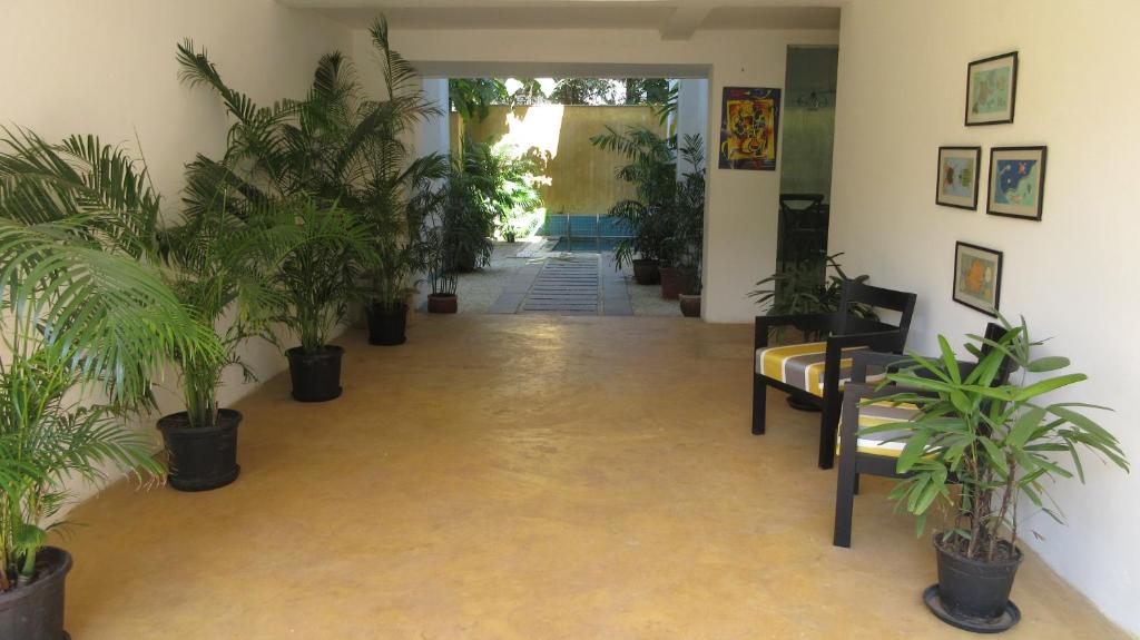 Zahrada ubytování La Mer Apartments - 10 mins drive to Candolim beach - 20 mins from Panjim