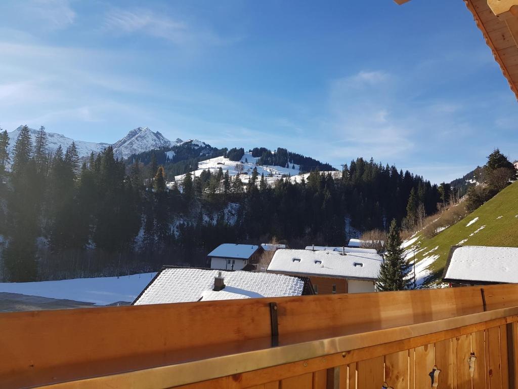 Příroda nedaleko apartmánu