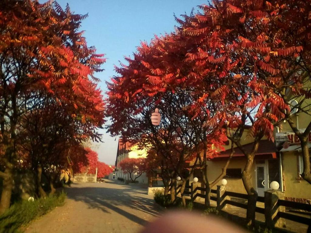 Okolí hotelu