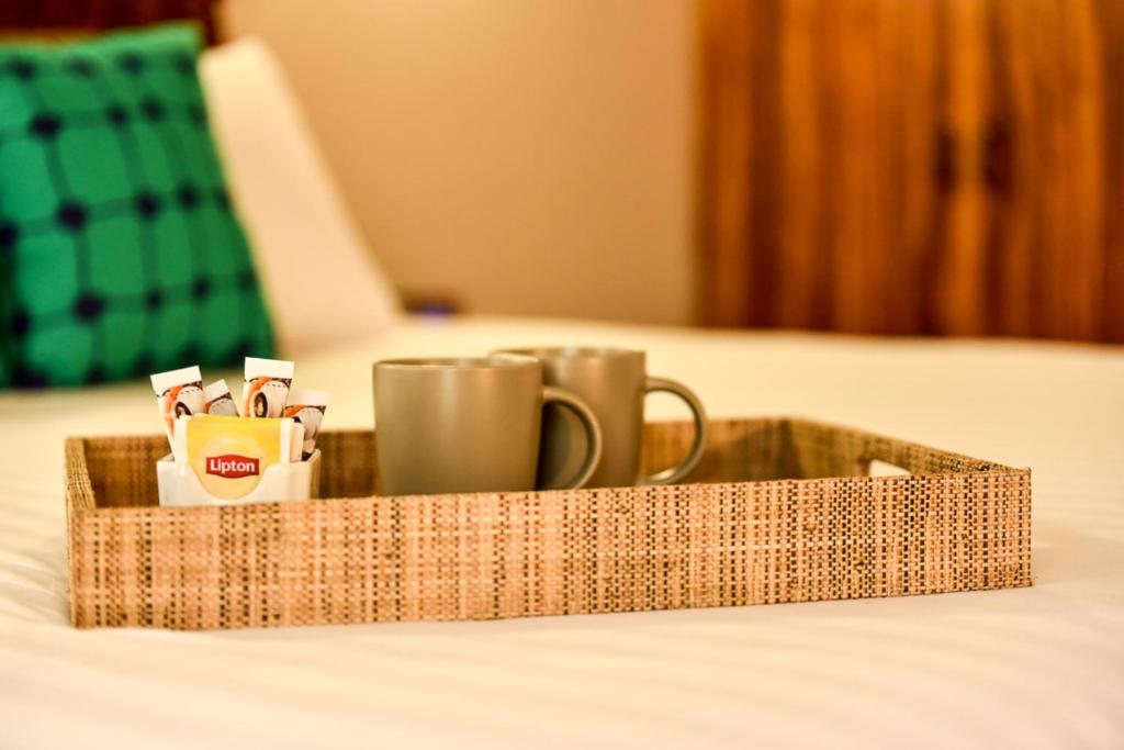 
Standard Family Room
