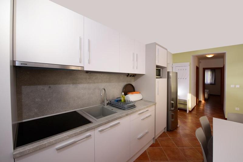 Kuchyň nebo kuchyňský kout v ubytování Plavo nebo Istra Apartments
