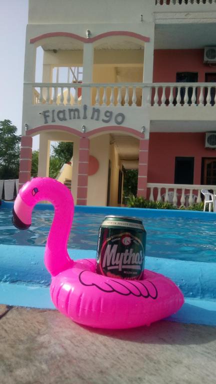 Bazén v ubytování Flamingo Apartments Moraitika Corfu nebo v jeho okolí