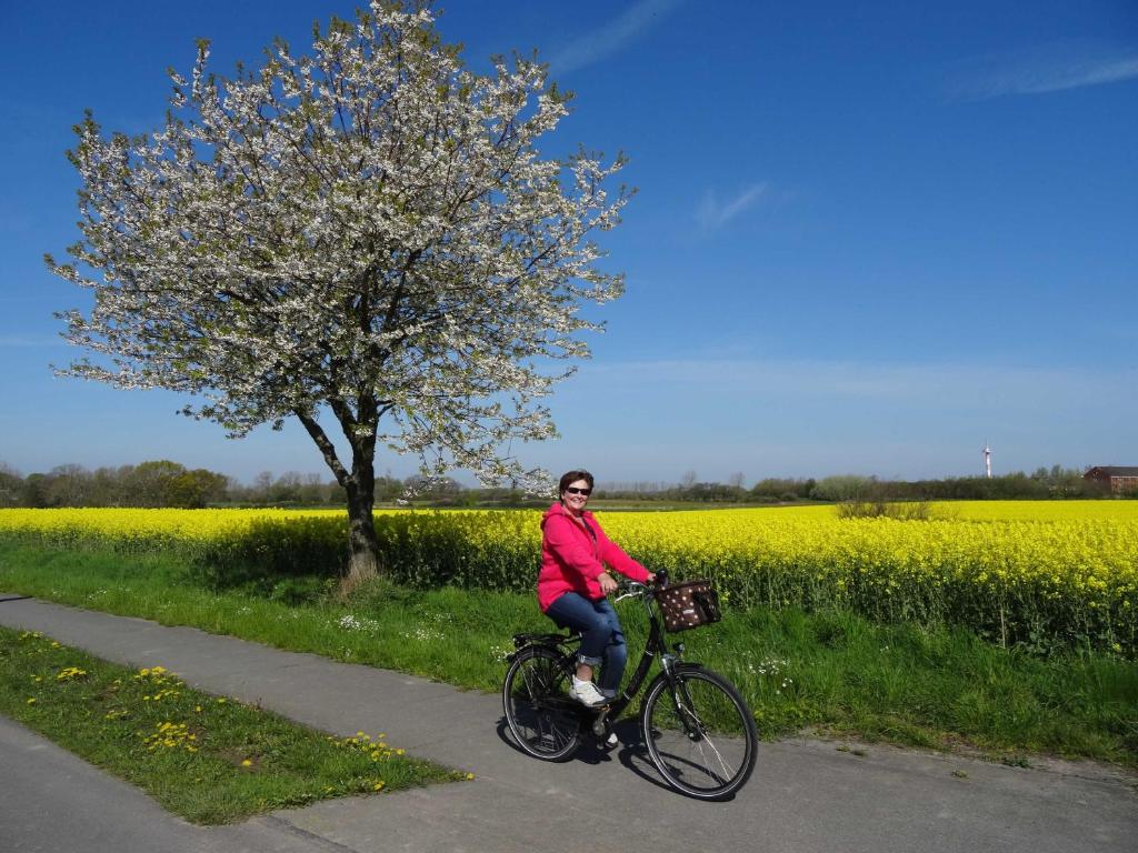 a woman riding a bike in front of a rapeseed field at Ferienhaus Kajuete in Schönhagen