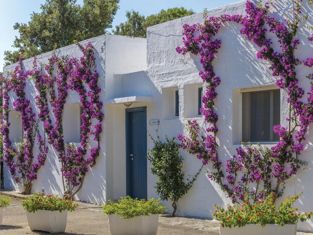 Zahrada ubytování TH Ostuni - Ostuni Village