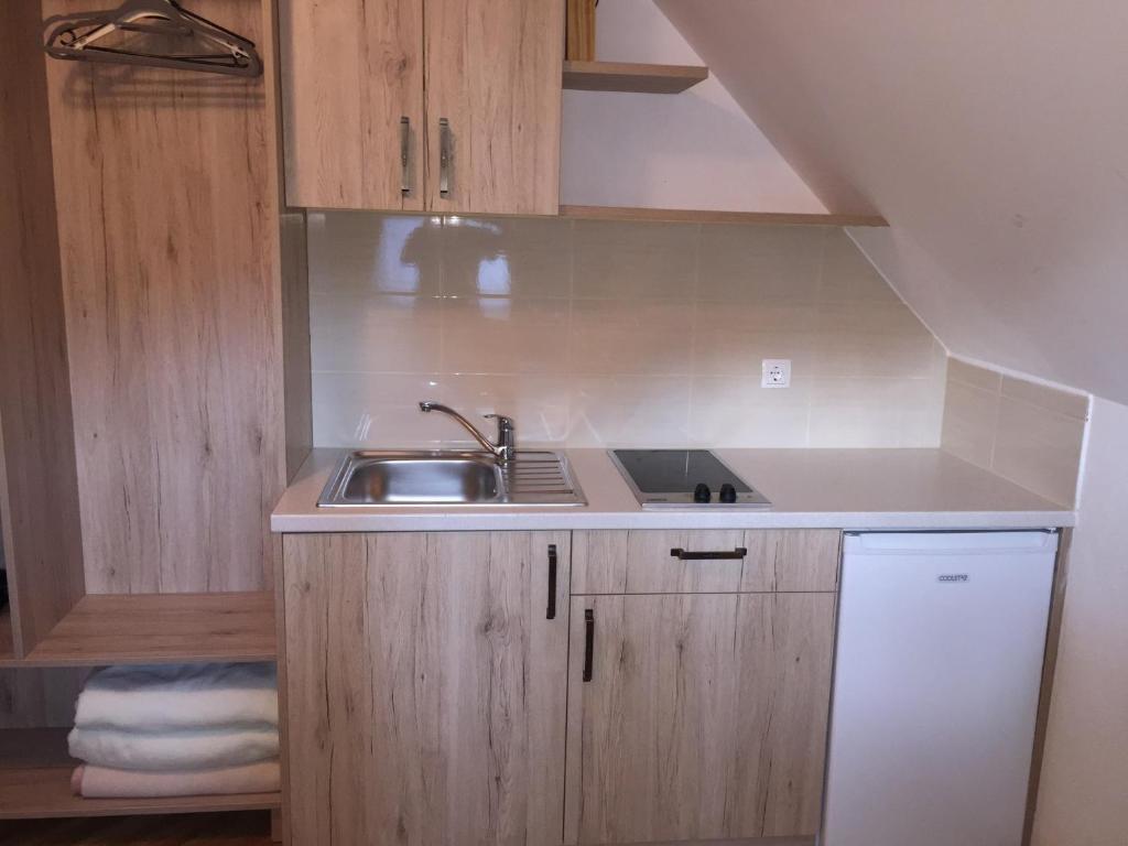 Kuchyň nebo kuchyňský kout v ubytování Apartmaji in sobe Tina