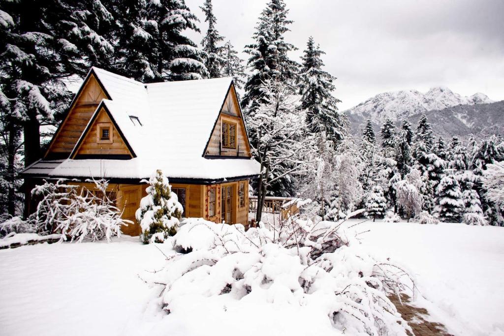 ザコパネにあるDomek Pod Sosnąの木々や山々が植わる雪のログキャビン