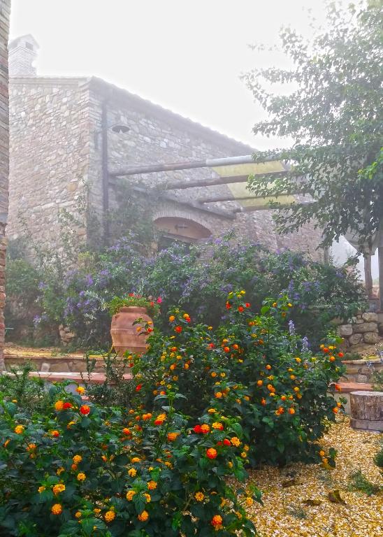 Zahrada ubytování Agriturismo Le Canterie