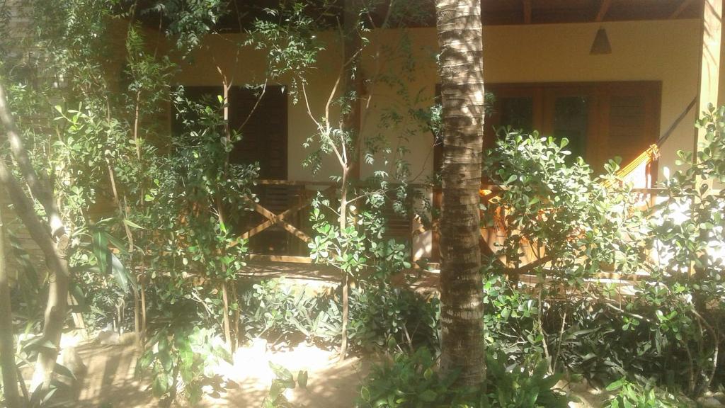  Apartamento em Jericoacoara