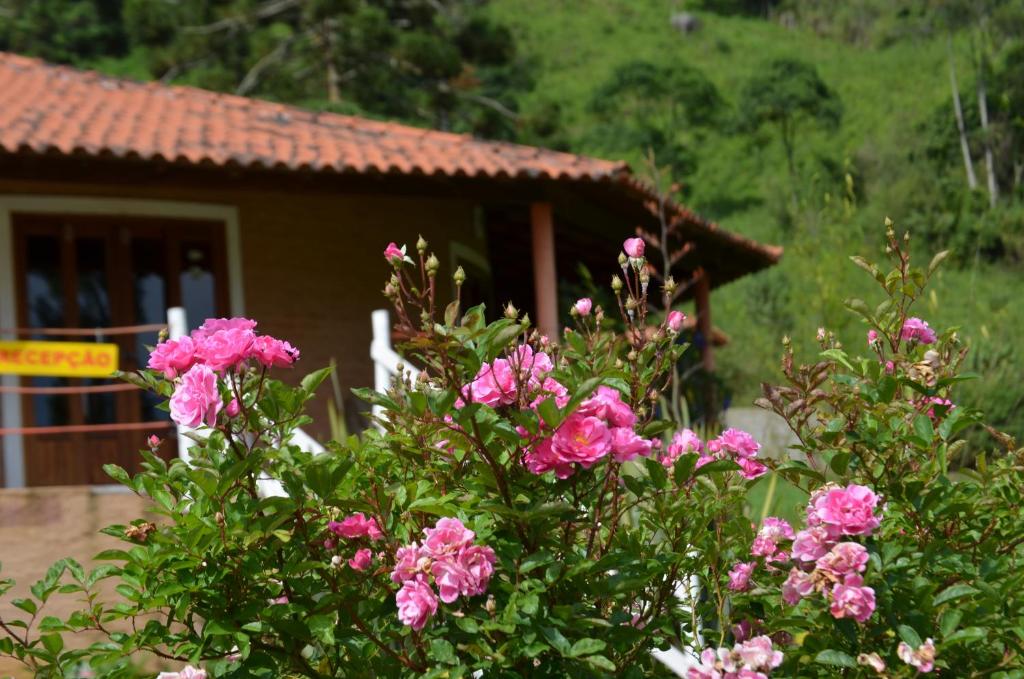a bush of pink flowers in front of a house at Pousada das Flores in Gonçalves