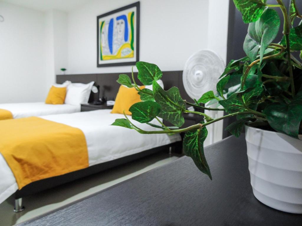 a bedroom with two beds and a potted plant at Hotel San Martin in Armenia
