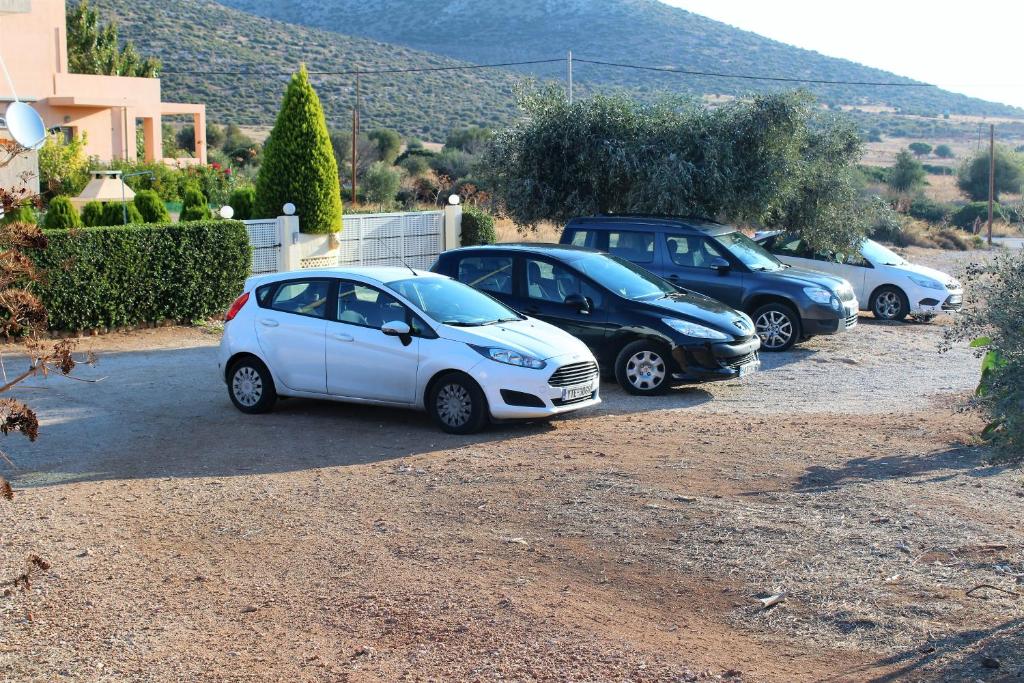 a row of cars parked in a parking lot at Helen's Sounio Apartments in Sounio