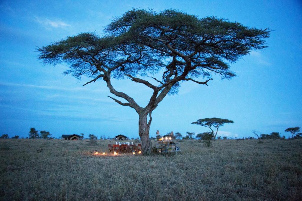 Pumzika Luxury Safari Camp - East Africa Camps in Serengeti