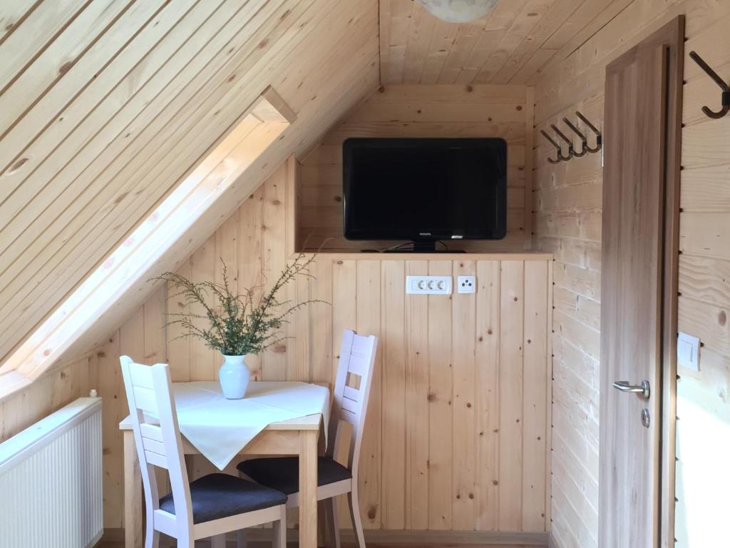 TV a/nebo společenská místnost v ubytování Apartmaji in sobe Tina