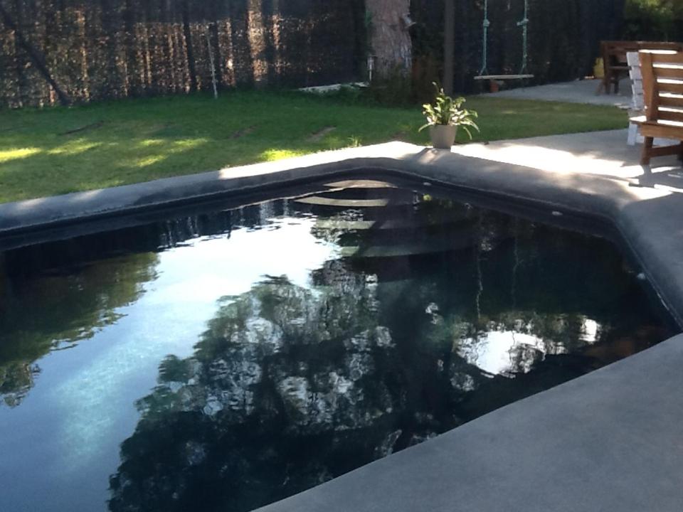 a pool of water in a yard with a bench at VILLA EN EL ROMPIDO "Entrepinos" in El Rompido