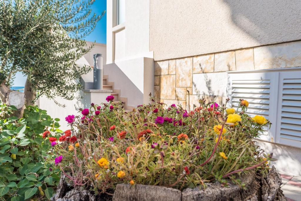 Zahrada ubytování Villa Jurac