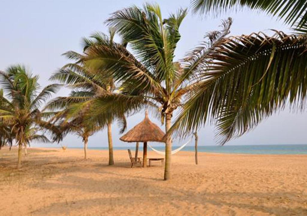 einen Strand mit Palmen und einer Bank am Strand in der Unterkunft Hôtels Résidences Easy in Cotonou