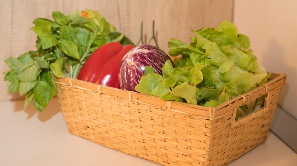 Salerno e le due coste - 7