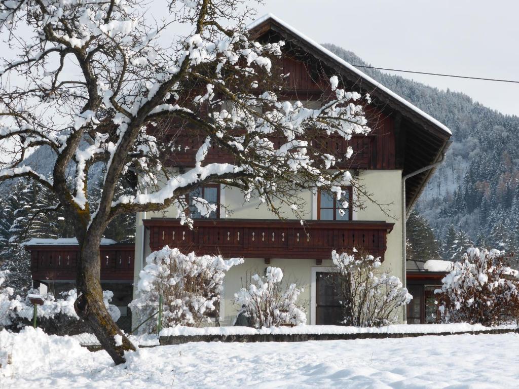 Ferienwohnungen Kolbitsch في غرايفينبورغ: منزل مغطى بالثلج مع شجرة أمامه