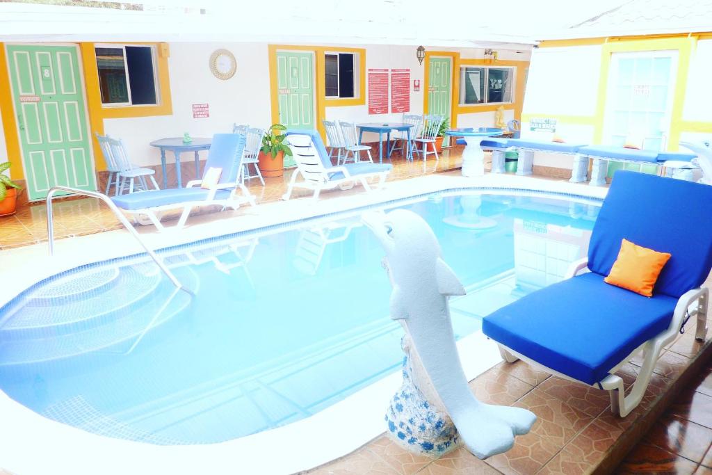 a swimming pool with a stuffed shark sitting in a chair at Hotel Ivania´s in Masaya