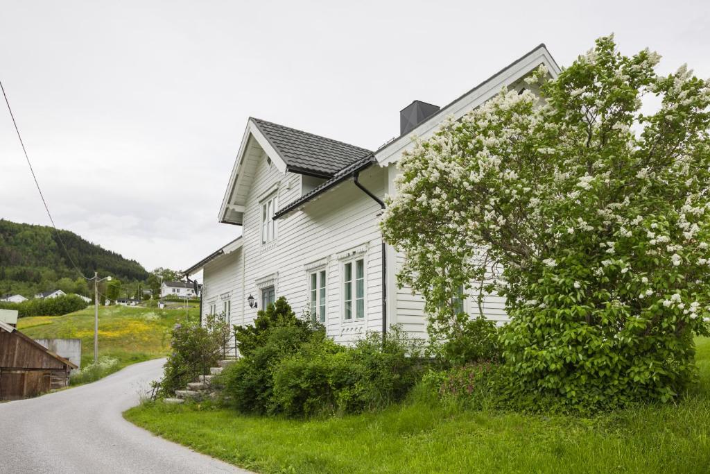 a white house on the side of a road at Rasmusgarden in Stranda