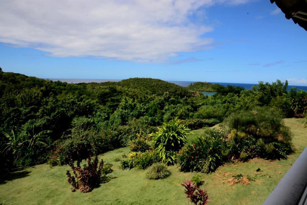 a view of a forest of trees and bushes at Villa Camp&ecirc;che in Les Trois-&Icirc;lets