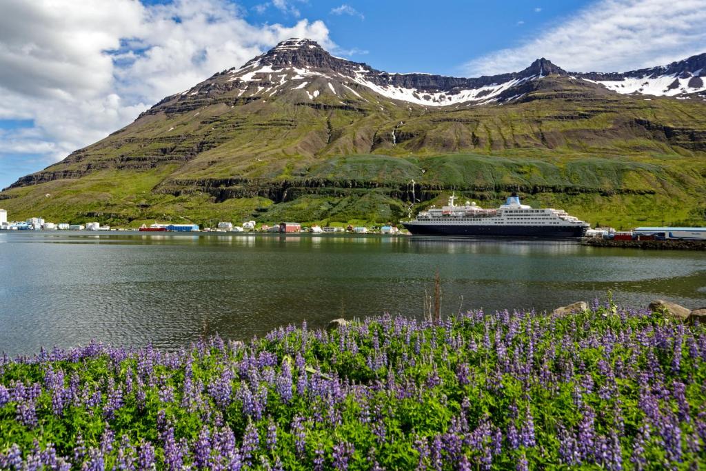 a cruise ship in a body of water with a mountain at Hafaldan HI hostel, old hospital building in Seyðisfjörður