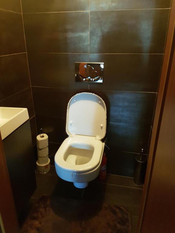 Koupelna v ubytování Apartment Alta