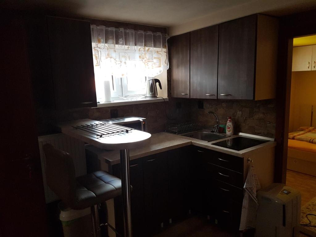 Kuchyň nebo kuchyňský kout v ubytování Apartment Alta