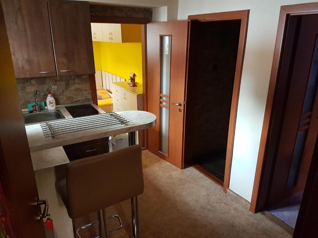 Kuchyň nebo kuchyňský kout v ubytování Apartment Alta