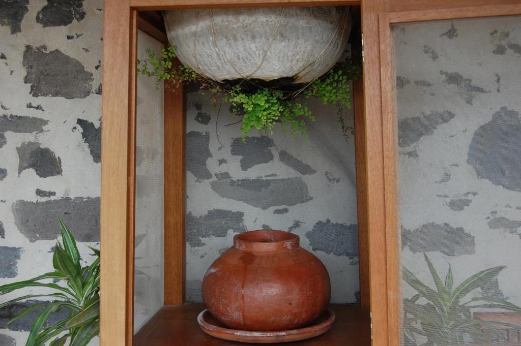 Fotografie z fotogalerie ubytování Palmital bajo Casa Canaria v destinaci Telde