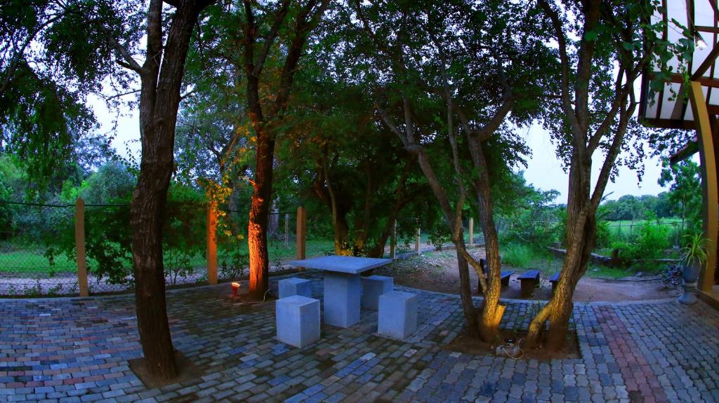 Zahrada ubytování Safari Lodge Yala