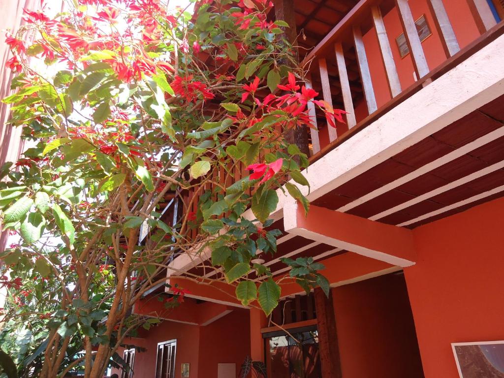 a plant with red flowers on the side of a building at Flores de Búzios Suítes in Búzios