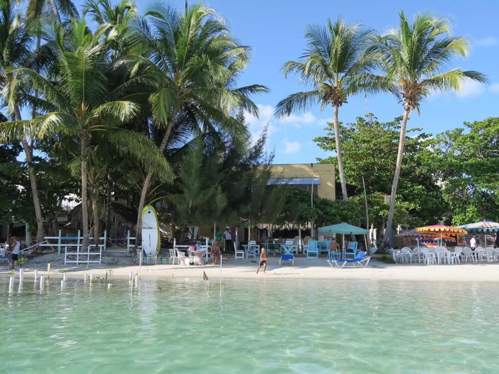 una playa con palmeras y una persona caminando en el agua en Hotel Club Rolling Stone, en Boca Chica