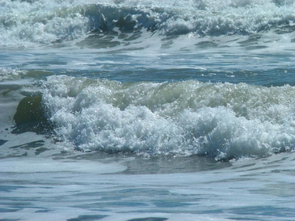 BeachView Motel - Resim 33