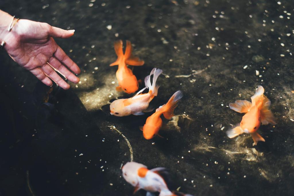 Marine Beach Hotel Pattaya - SHA Plus - Resim 18