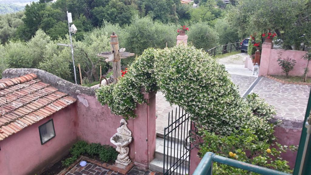 un'edera che cresce sul lato di una recinzione di Le Donne di Bargecchia a Corsanico-Bargecchia