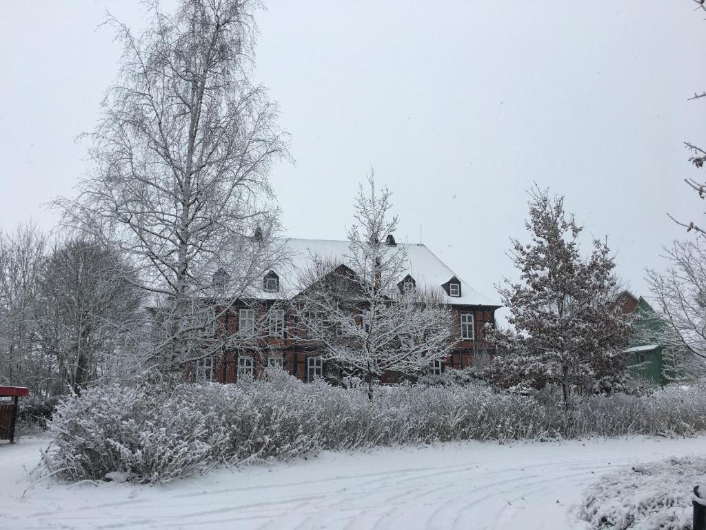 een huis bedekt met sneeuw voor de deur bij FeWo Gut Ohlhof in Goslar