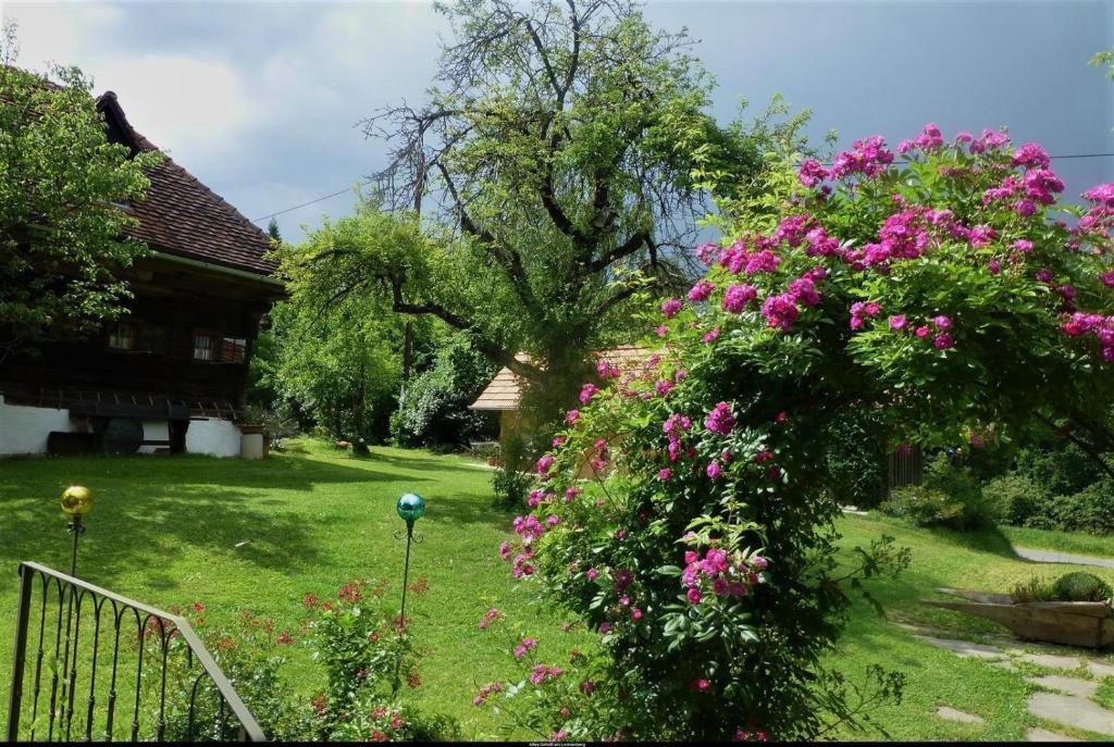 Zahrada ubytování Altes Gehöft am Lormanberg