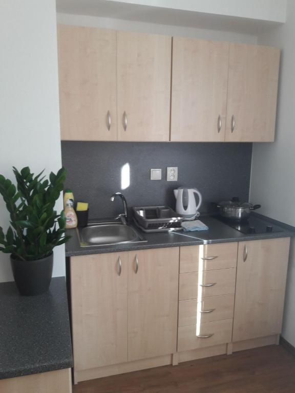 Kuchyň nebo kuchyňský kout v ubytování Apartmány Lípa