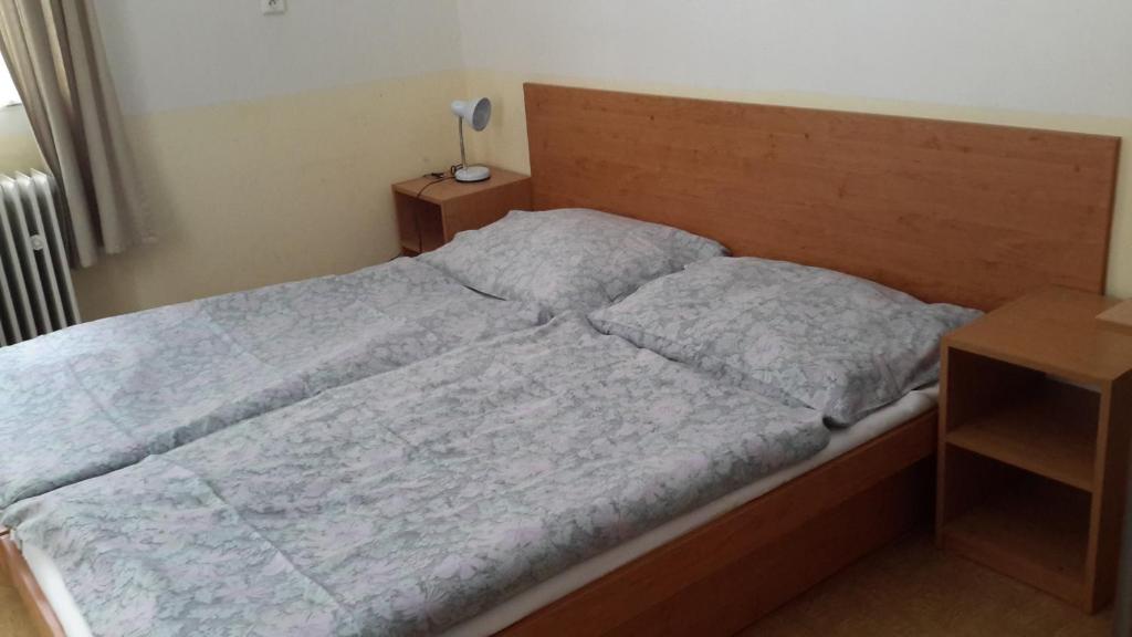 Postel nebo postele na pokoji v ubytování Turistická ubytovna Zámeček