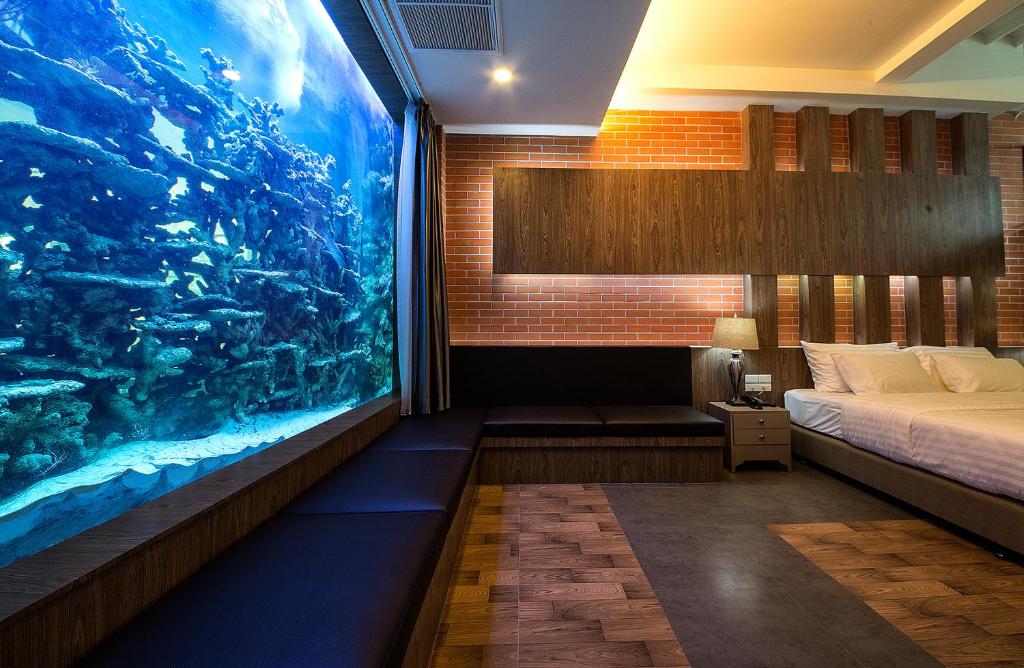 
Aquarium Suite
