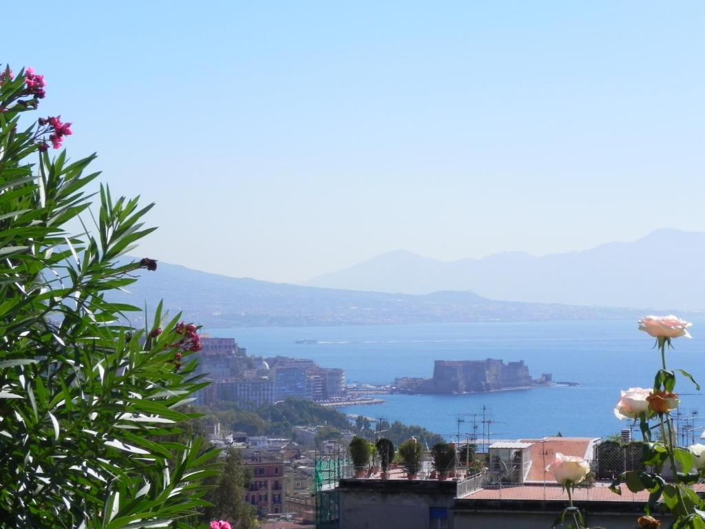ナポリにあるCasa Rosa - Sea View & Terrace Apartmentの市街から海の景色を望む